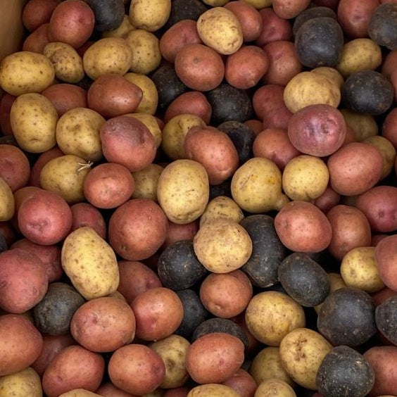 Mini Potatoes