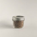 Whole Coriander Seeds - Organic