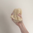Luffa Sponge