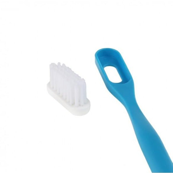 Bioplastic Toothbrush With Replaceable Head