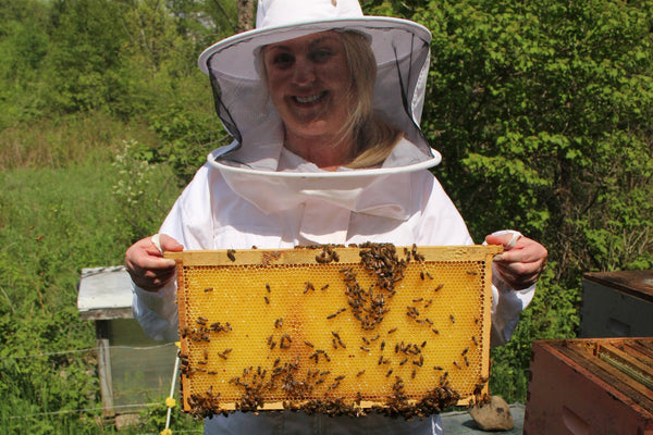 What’s the buzz with honey bees? A visit with beekeeper Emily Briffa