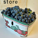 BACK IN SEASON! Ontario Blue Grapes