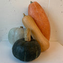 NEW! Local Squash
