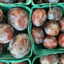 BACK IN SEASON! Ontario Blue Plums