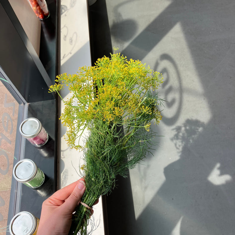 NEW! Dill - Fresh and Local