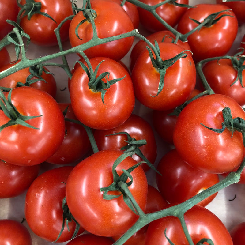 Vine Tomatoes