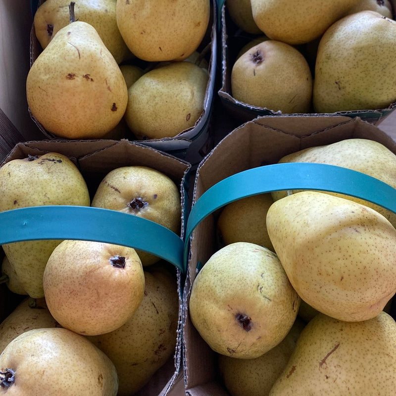 NEW! Local Pears