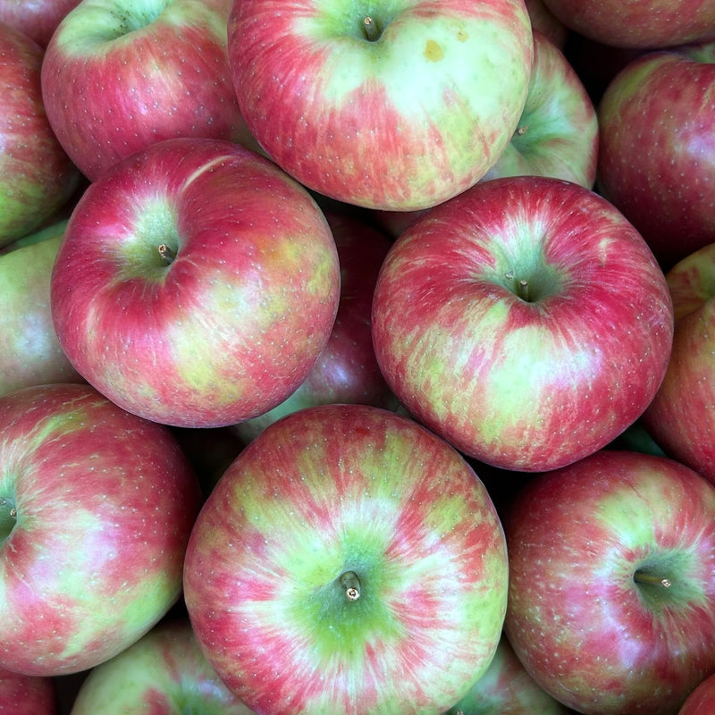 New Season! Local Honeycrisp Apples