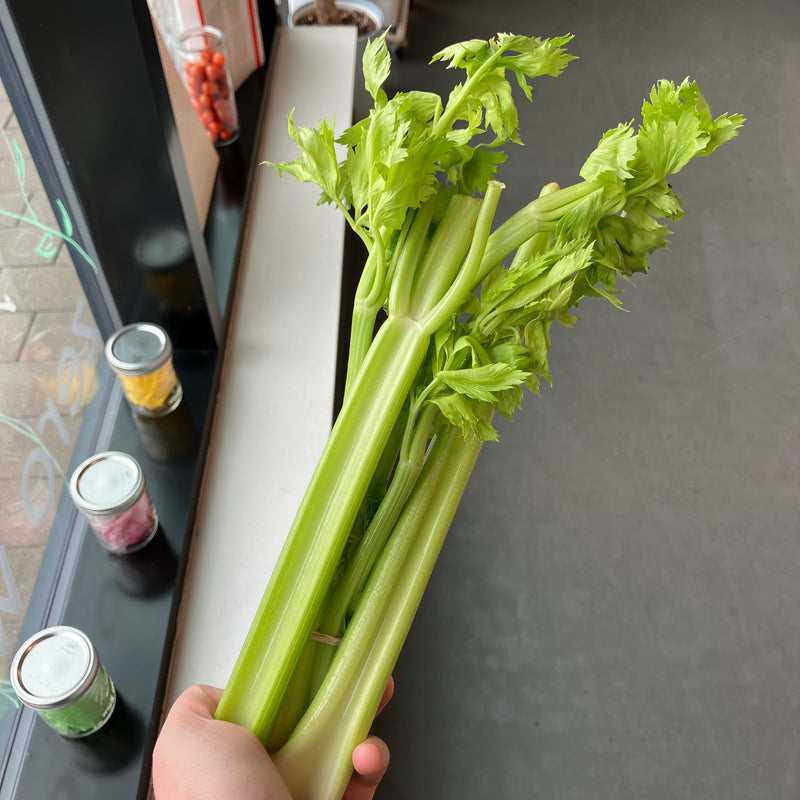 NEW! Celery Stalks