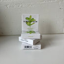 Chewing Gum Plastic-Free