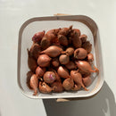Shallots - NEW @NU!