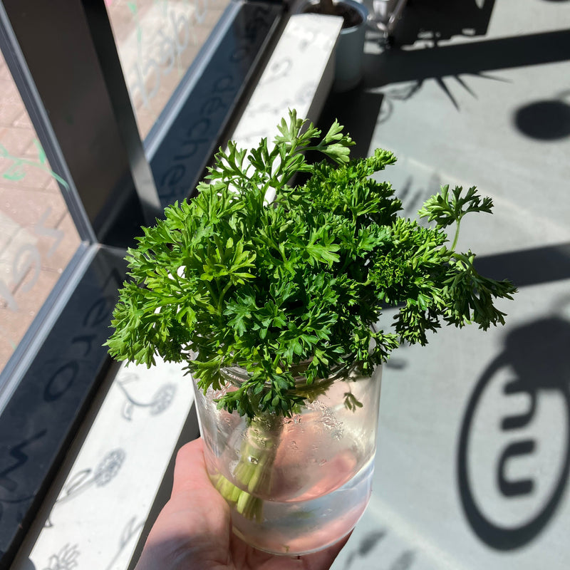 Fresh Herbs