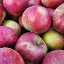 NEW! Local Jersey Mac Apples