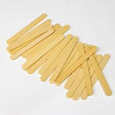 NEW! Bamboo Popsicle Sticks (24-Pack)