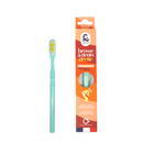 Bioplastic Toothbrush With Replaceable Head