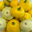 NEW! Local Patty Pan Squash