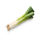 Leek