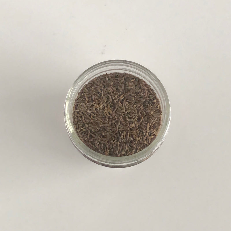 Caraway Seeds - Organic