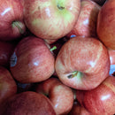 Gala Apples