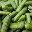 They're back! Local Mini Cucumbers