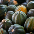 Acorn Squash
