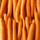 Nantaise Carrots