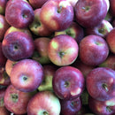 Local Empire Apples