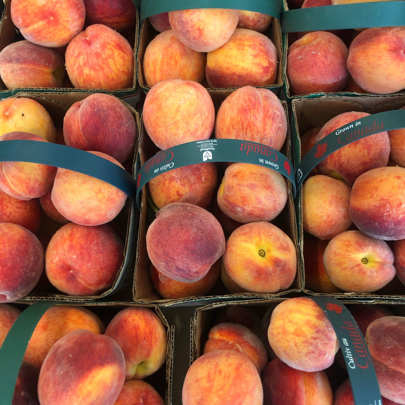 THEY'RE BACK! Ontario Peaches