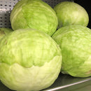 Green Cabbage