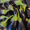 NEW! Local Eggplants