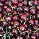IT'S THE SEASON! Ontario Cherries