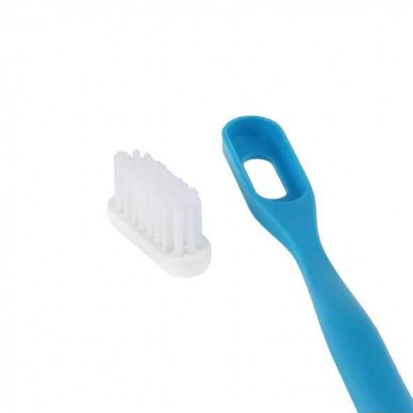Têtes de remplacement pour brosse à dents rechargeable (paquet de 3)