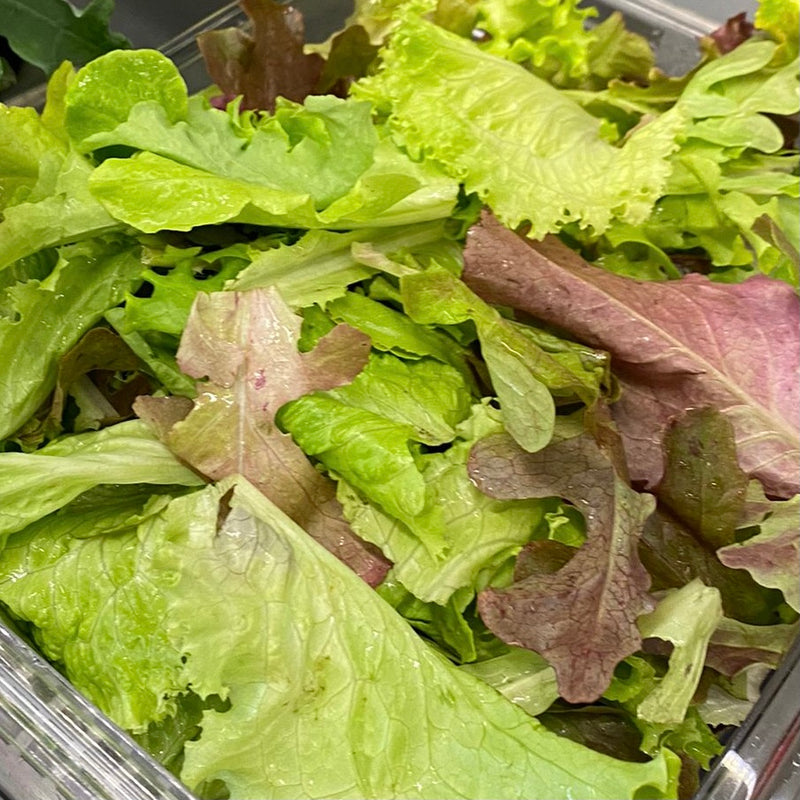 NEW! Local Mixed Greens