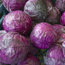 Red Cabbage