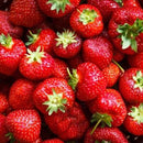 NEW! Local Strawberries